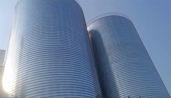 凤泉2座混凝土高架卷板仓